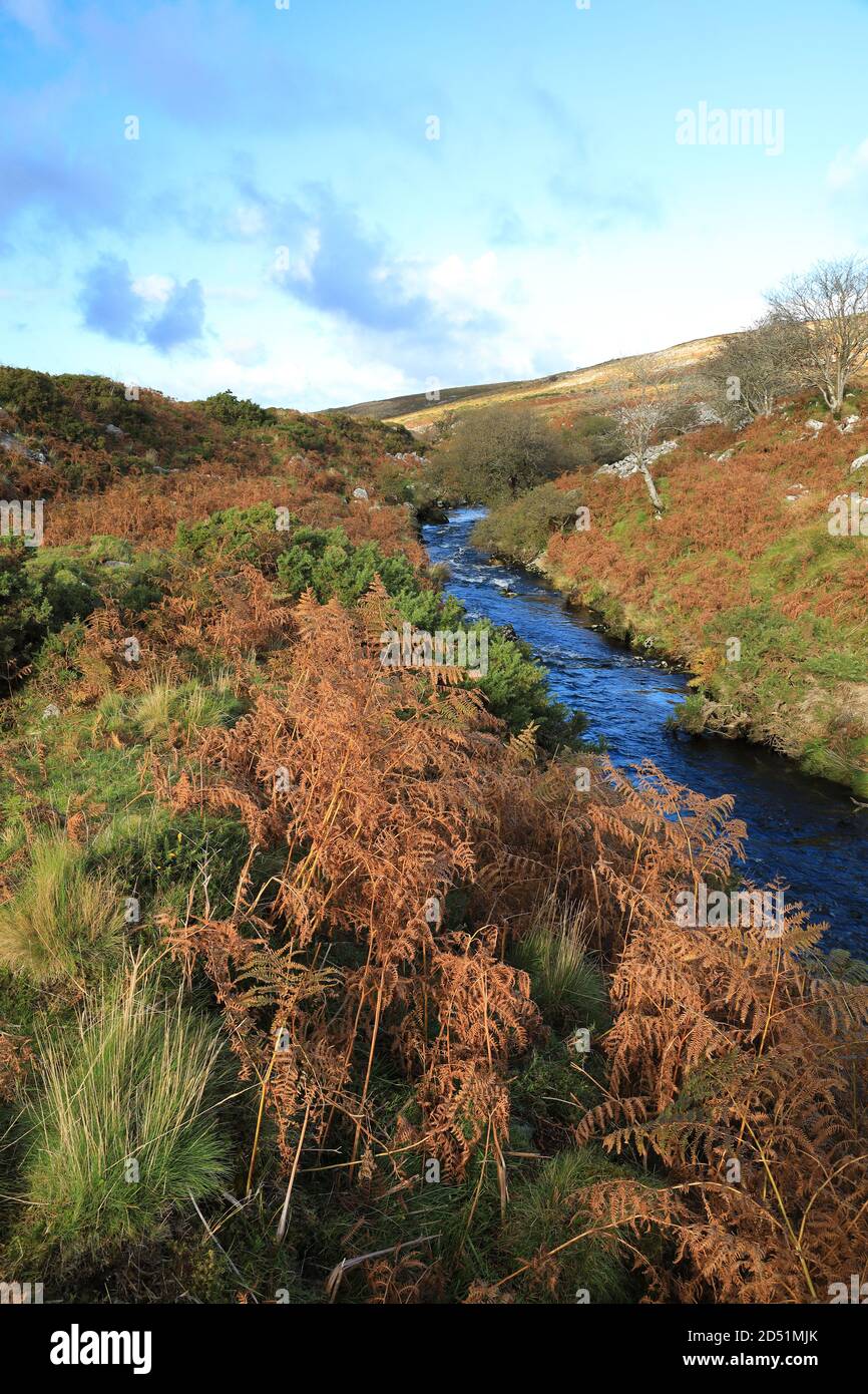 River Taw in Autumn, near Belstone, Dartmoor National Park, Devon, England, UK Stock Photo