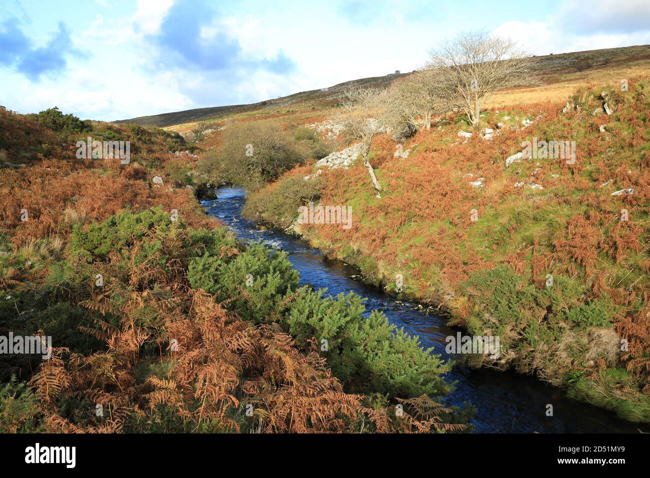 River Taw in Autumn, near Belstone, Dartmoor National Park, Devon, England, UK Stock Photo
