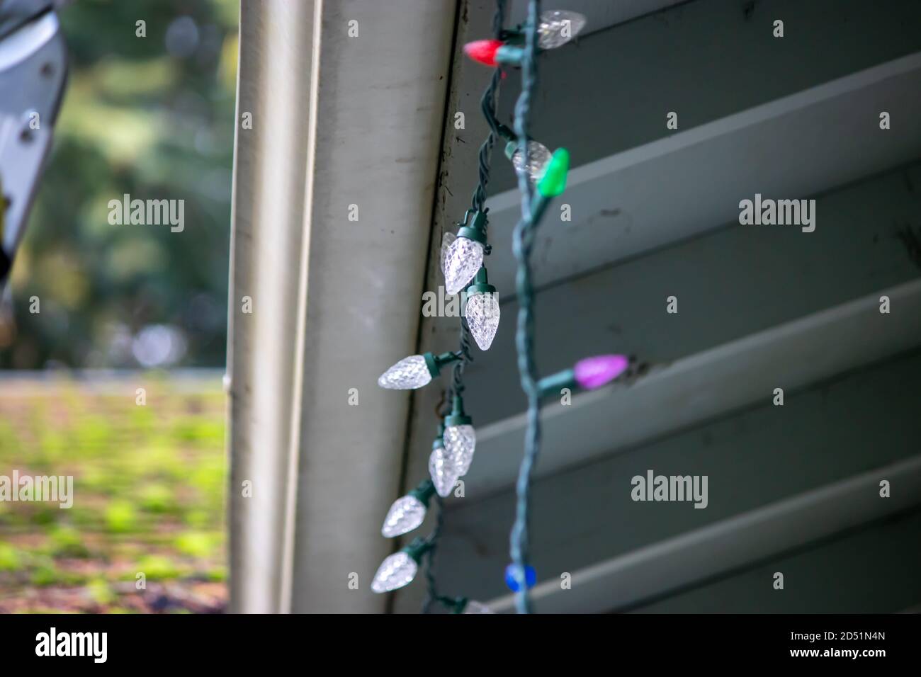 father and adult son hanging christmas lights on the gutter with a