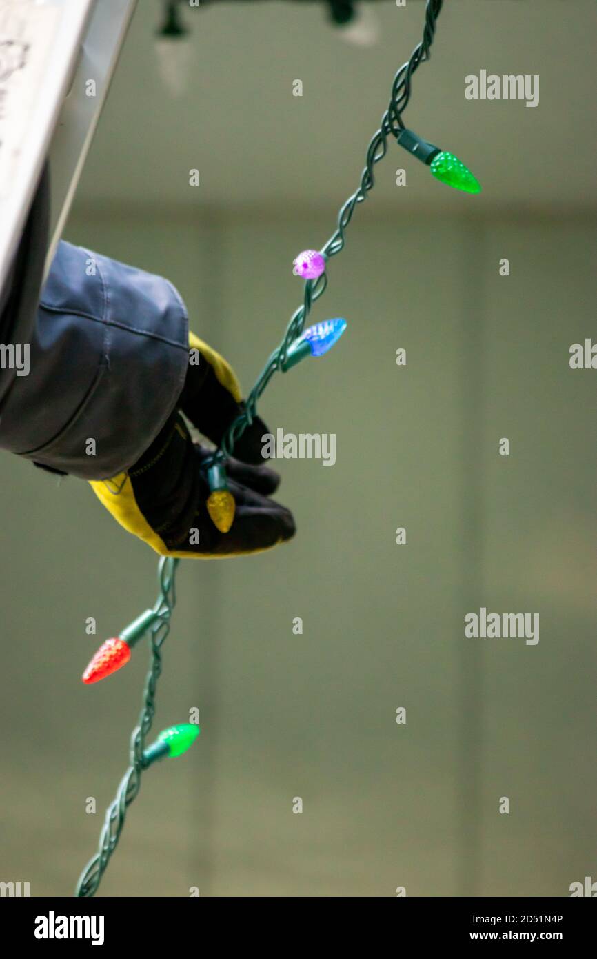 father and adult son hanging christmas lights on the gutter with a