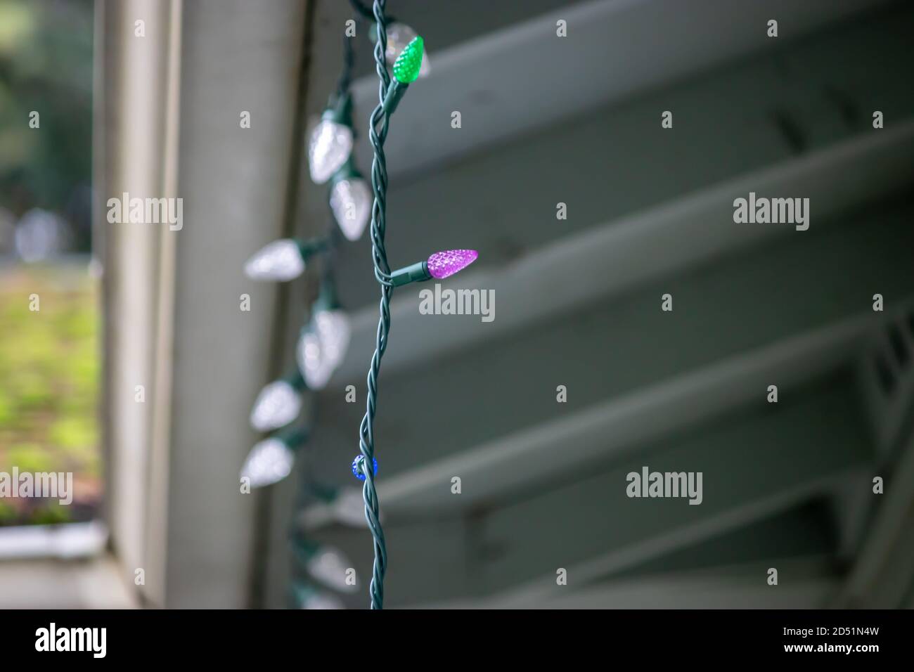 father and adult son hanging christmas lights on the gutter with a