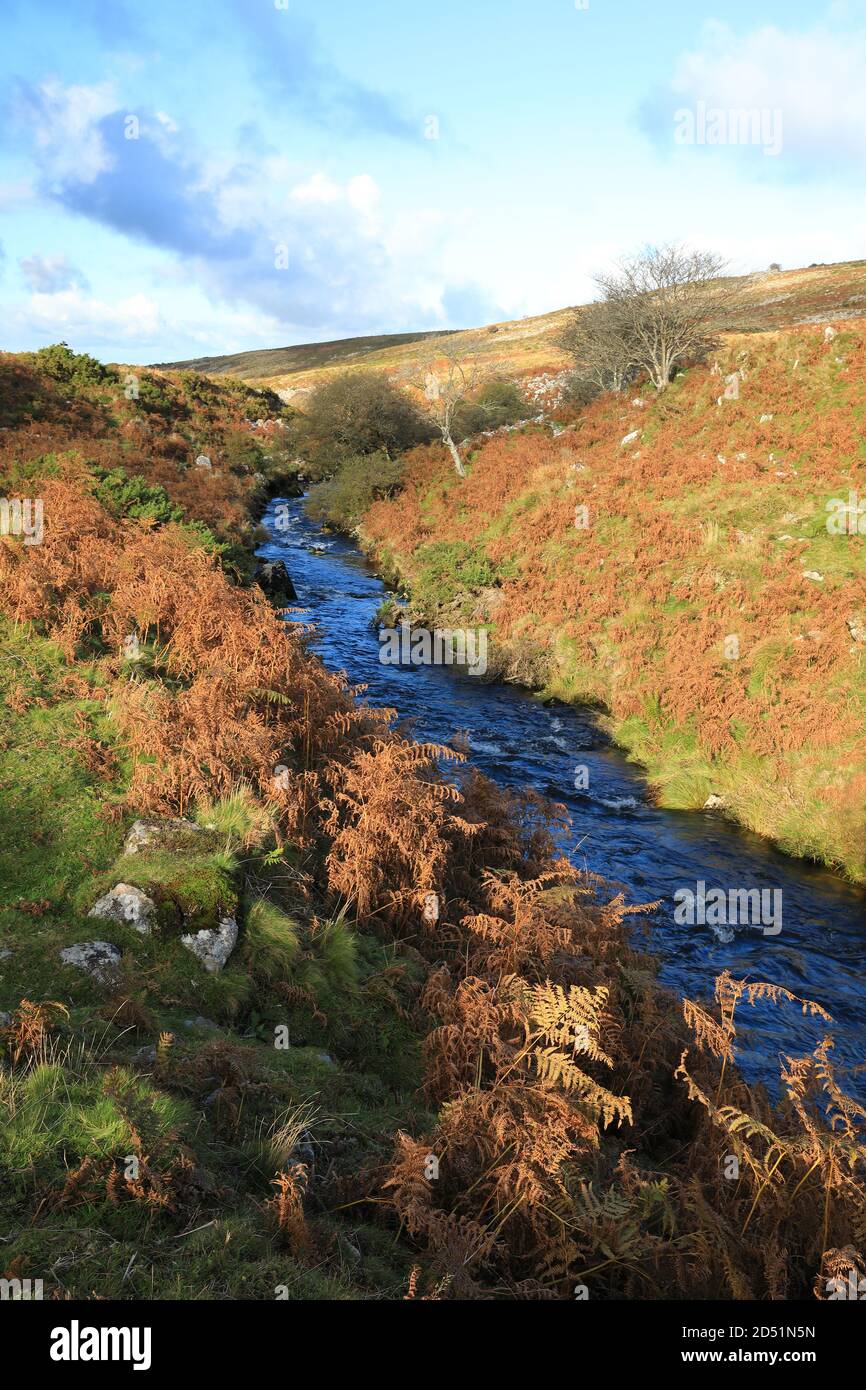 River Taw in Autumn, near Belstone, Dartmoor National Park, Devon, England, UK Stock Photo