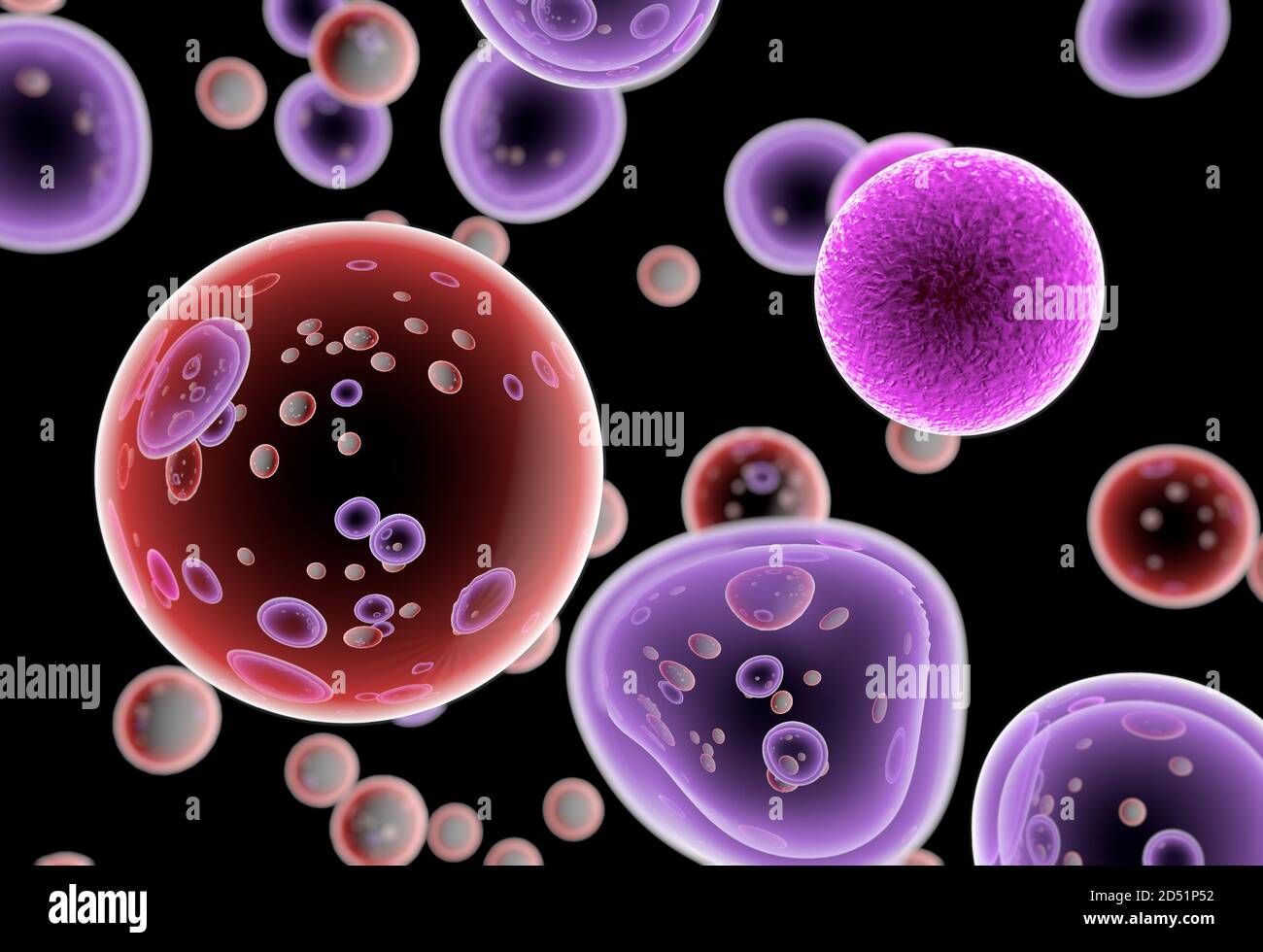 Bone Marrow Cancer Cells High Resolution Stock Photography and Images ...