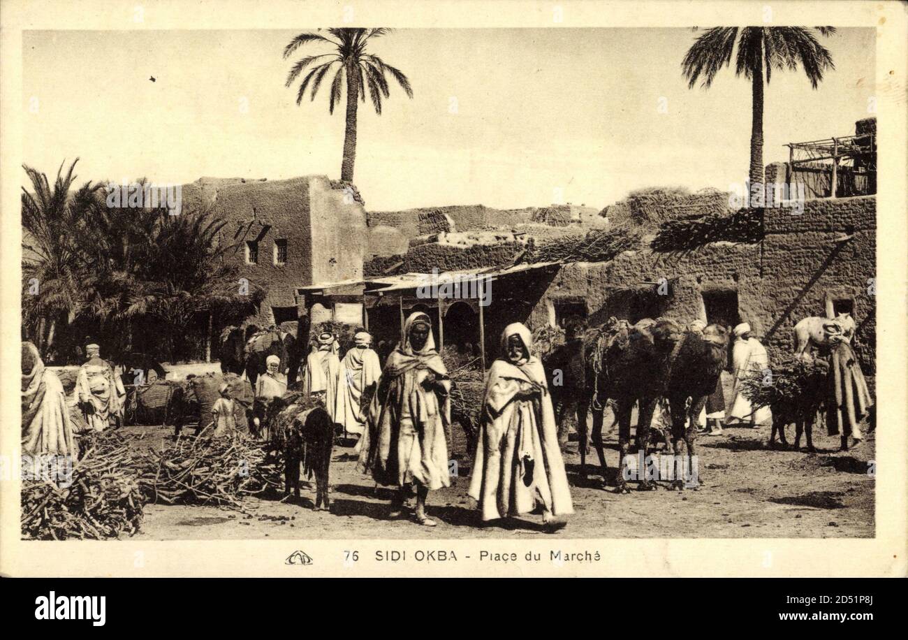Sidi Okba Algerien, Piace du Marché, Palmen, Kamele | usage worldwide Stock Photo