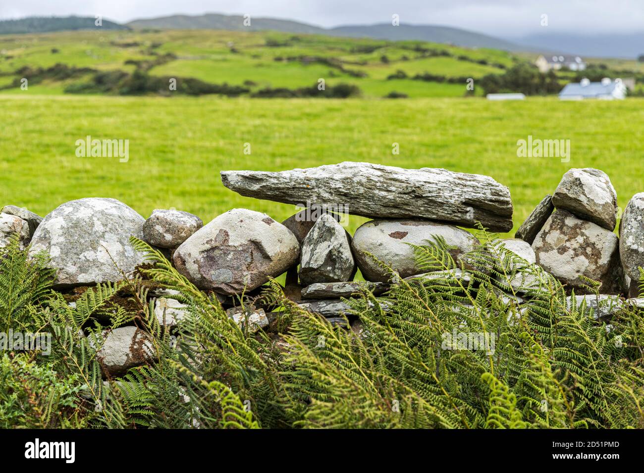 Dry stone walls and fields along the Killeen loop walks near Louisburgh, County Mayo, Ireland Stock Photo