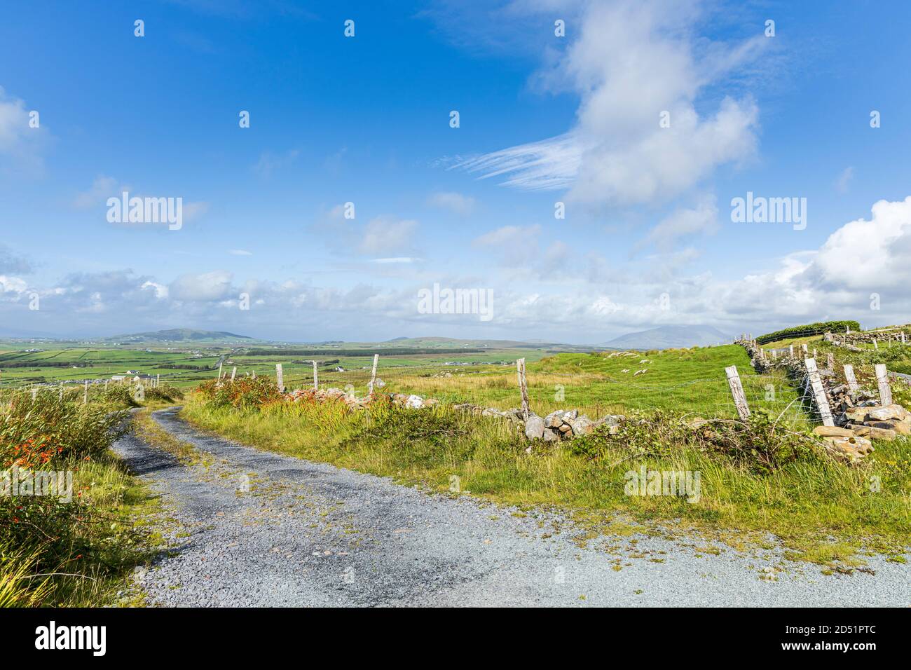 Single track road with grass growing along the middle on the Killeen loop walks near Louisburgh, County Mayo, Ireland Stock Photo