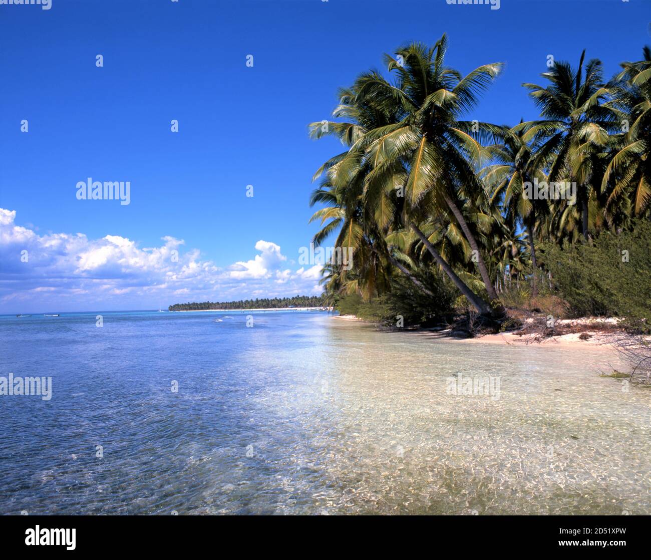 Beach On Saona Island Dominican Republic Stock Photo Alamy