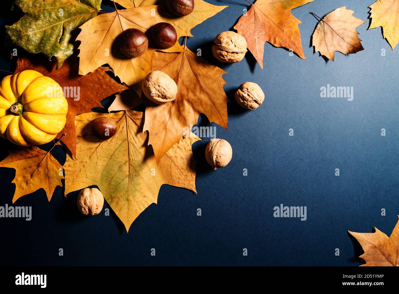 Thanksgiving Day with maple leaves, nut and pumpkin Stock Photo - Alamy