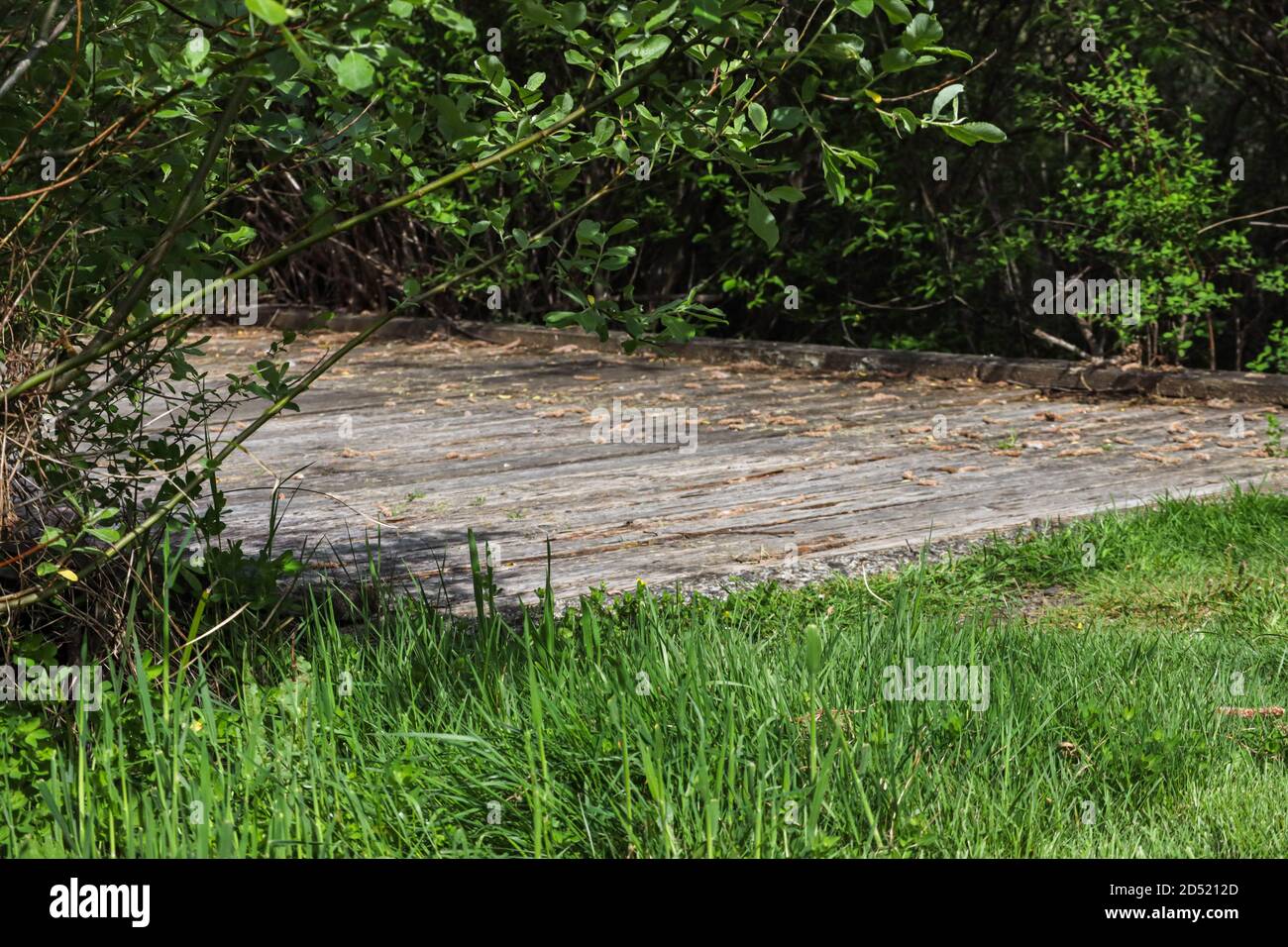 grass and weeds in front of small wooden bridge Stock Photo