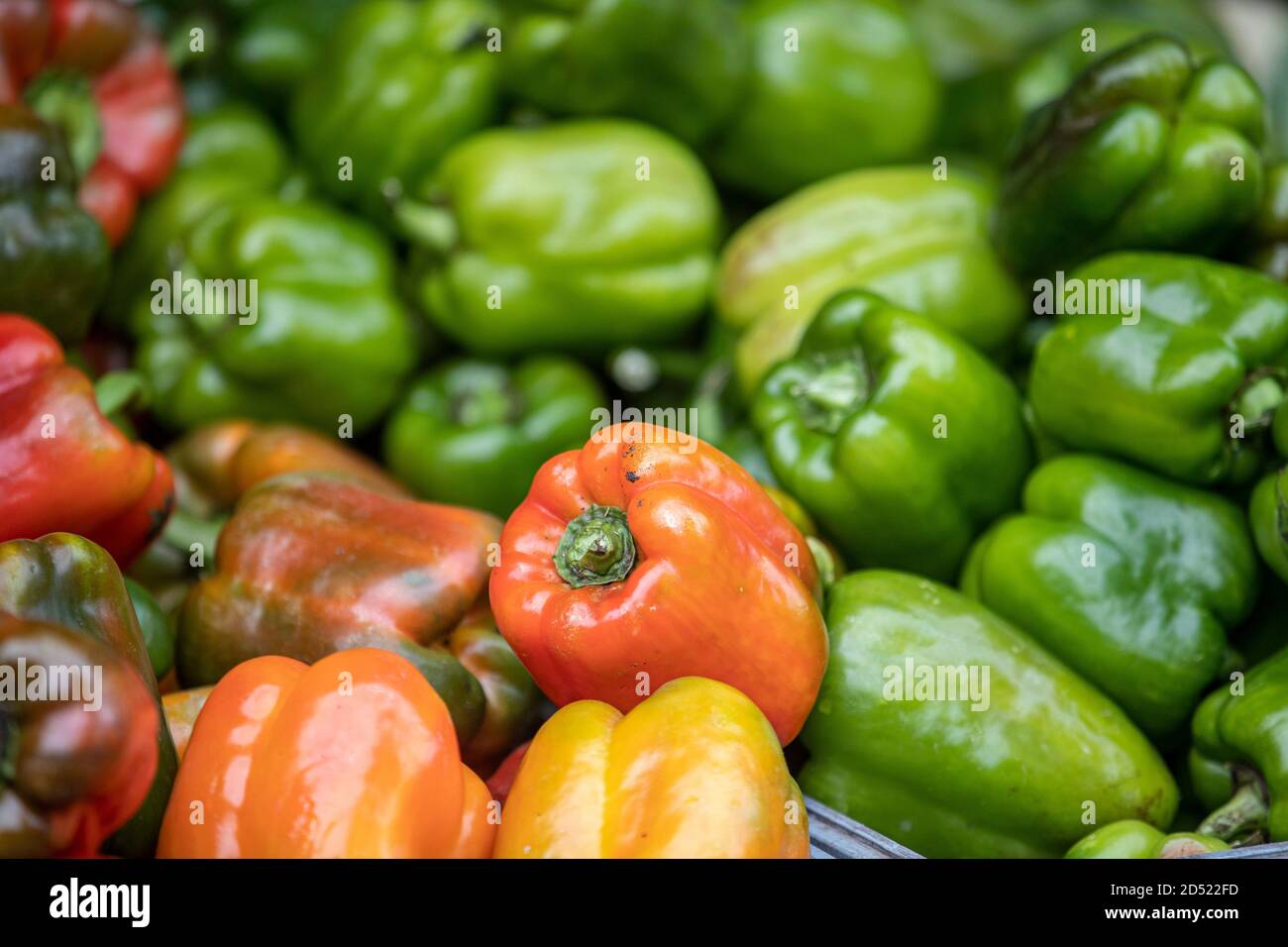 Bell Peppers on display at a farmers market Stock Photo - Alamy