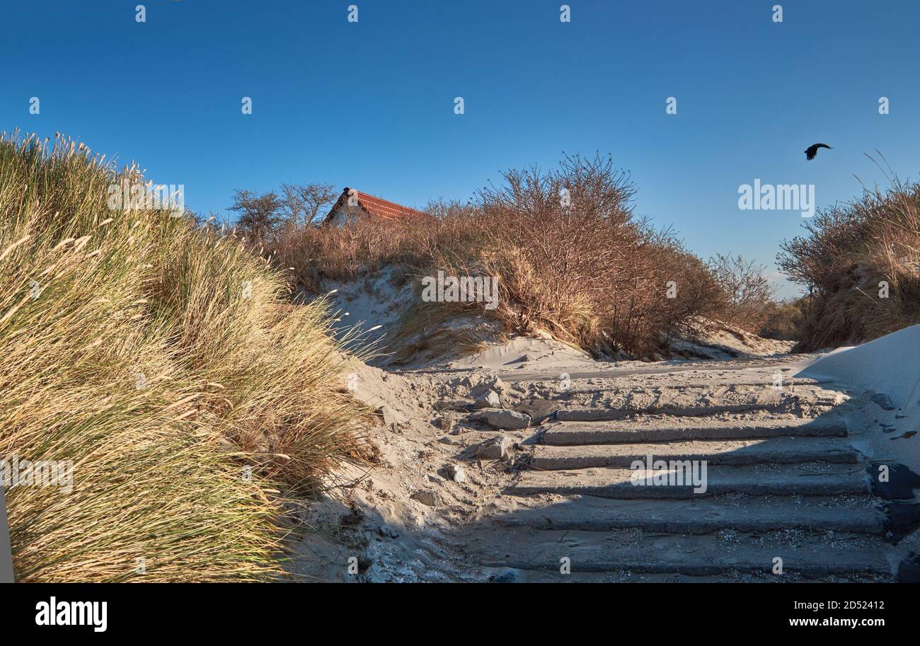 Entrance to beach on Island Hiddensee in Germany. Yellow grass. Autumn or winter time low season. Stock Photo