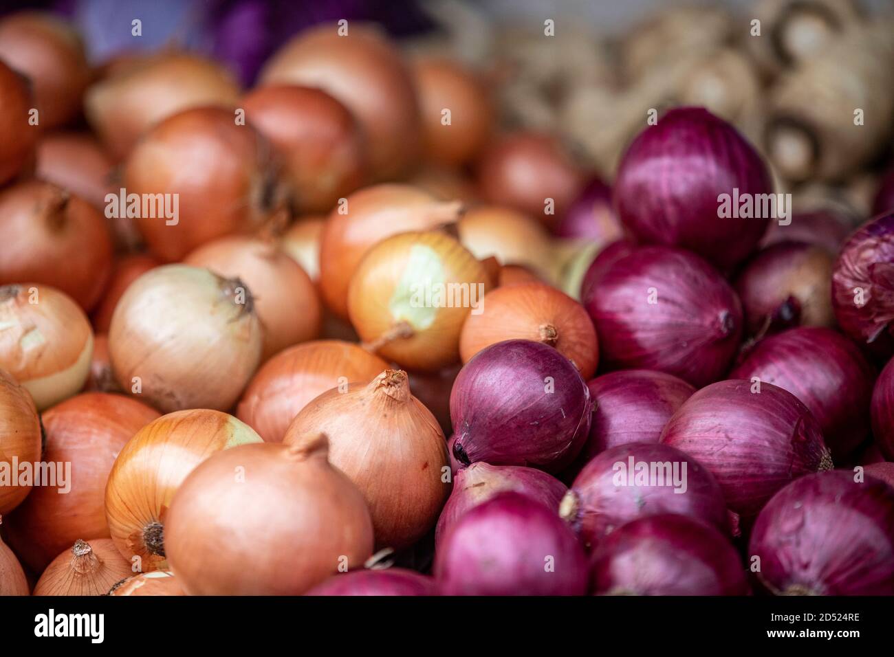 Onions on display at a farmers market Stock Photo