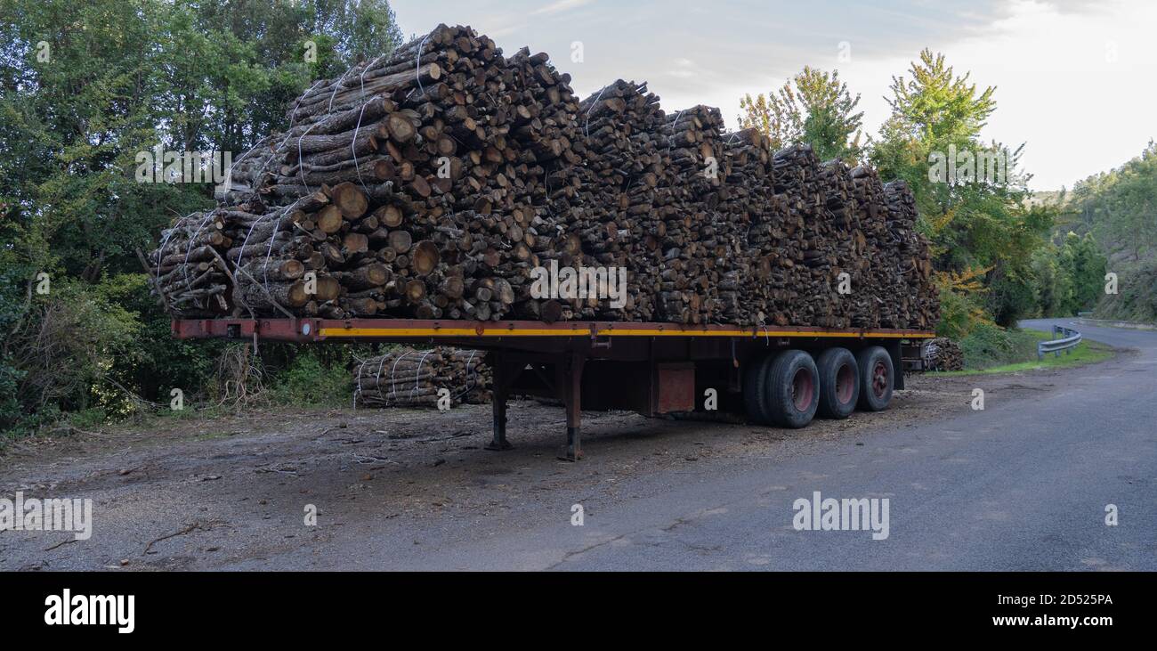 Legna da ardere, rovere Foto stock - Alamy