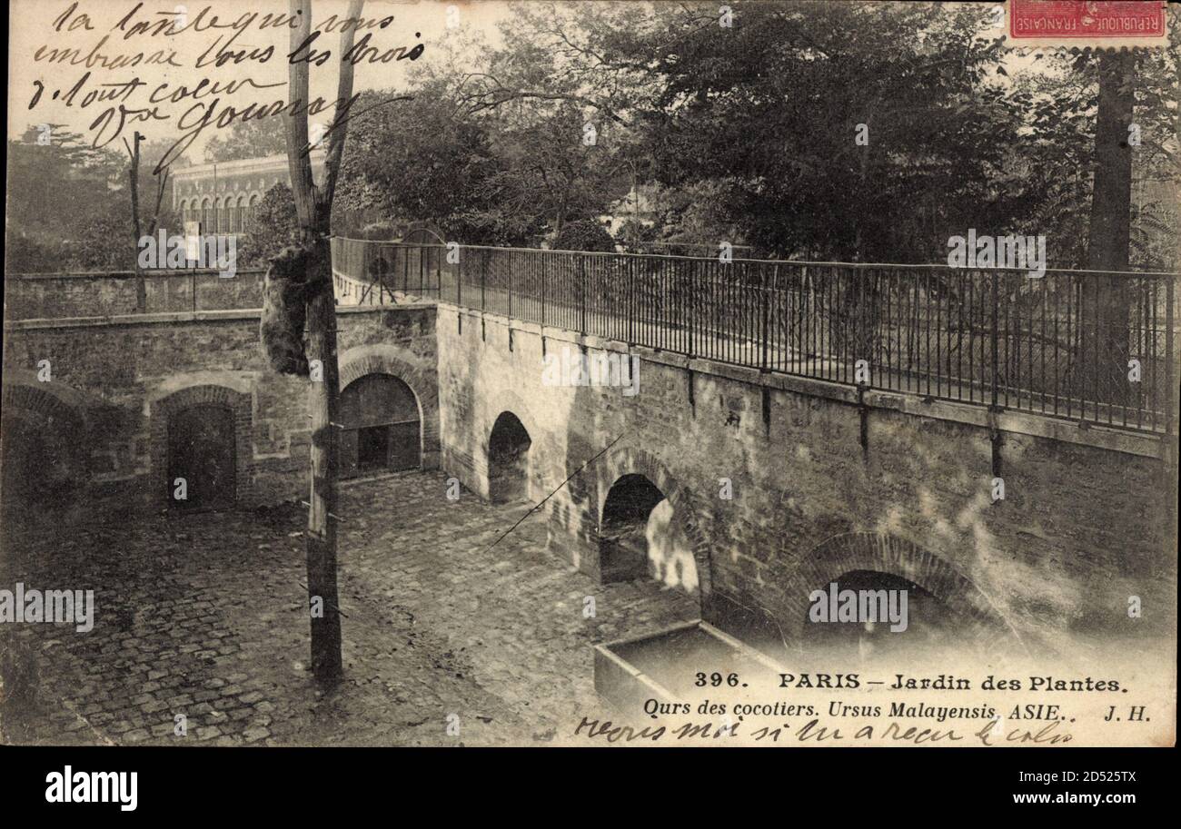 Paris, Jardin des Plantes, Ours des cocotiers, Ursus Malayensis, Asie — free download