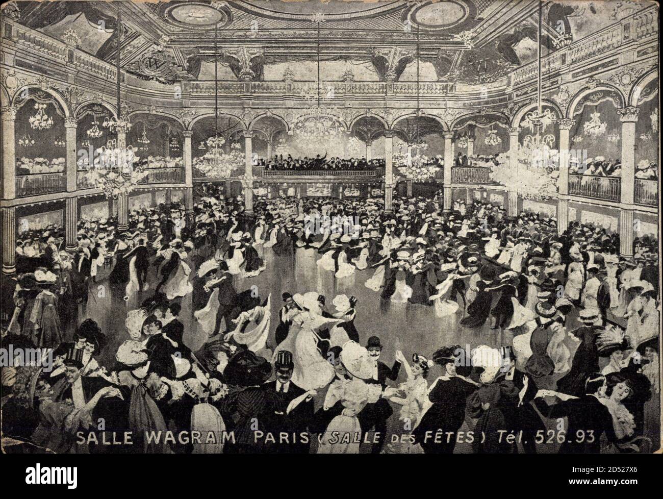 Photo Presse Originale 1932 - Salle Wagram Paris - Maracaja Cat Of Brazil Bengal