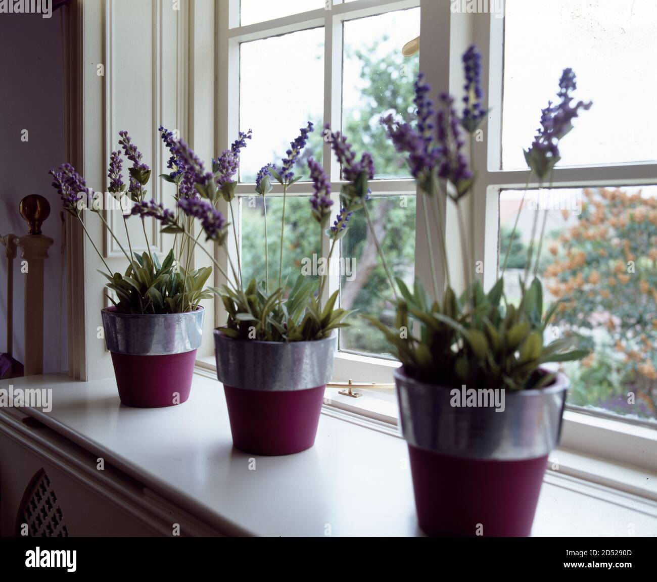 Bunk bed in luxury cabin cruiser Stock Photo Alamy