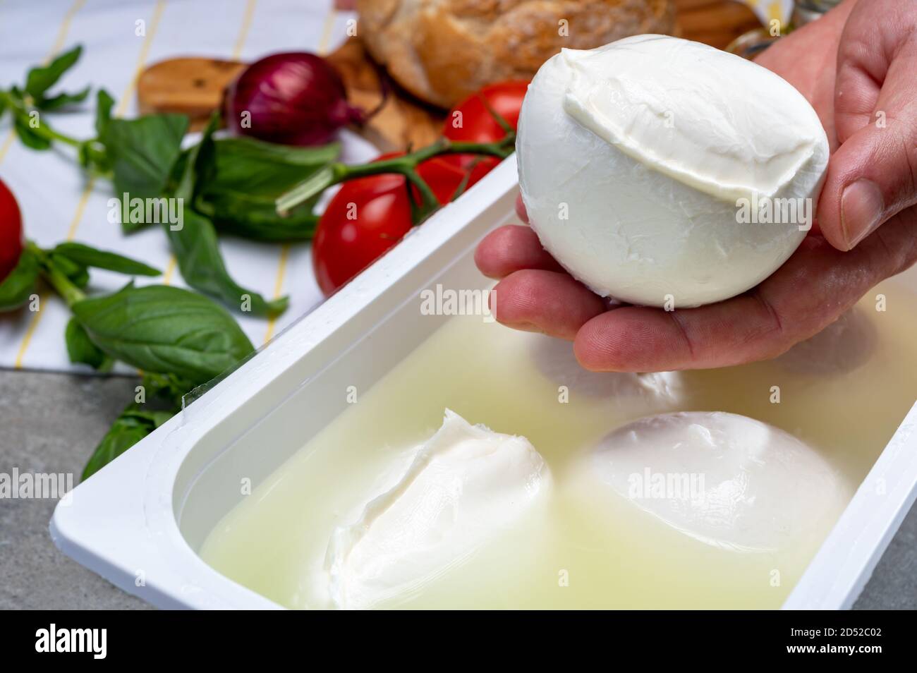 Cheese maker holding in hand fresh soft Italian cheese from Campania