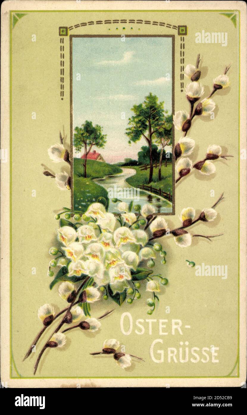 Glückwunsch Ostern, Weidenkätzchen | usage worldwide Stock Photo