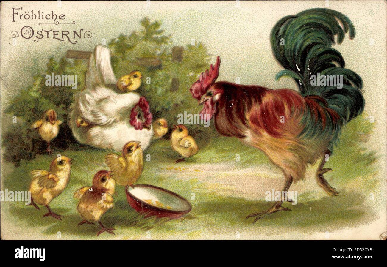 Glückwunsch Ostern, Hahn, Henne und Küken | usage worldwide Stock Photo ...