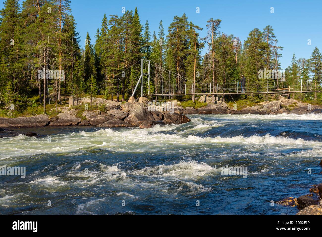 Woman halfway on a suspension bridge over Trollforsen rapid in Norrbotten county Sweden with a blue sky in background. Stock Photo