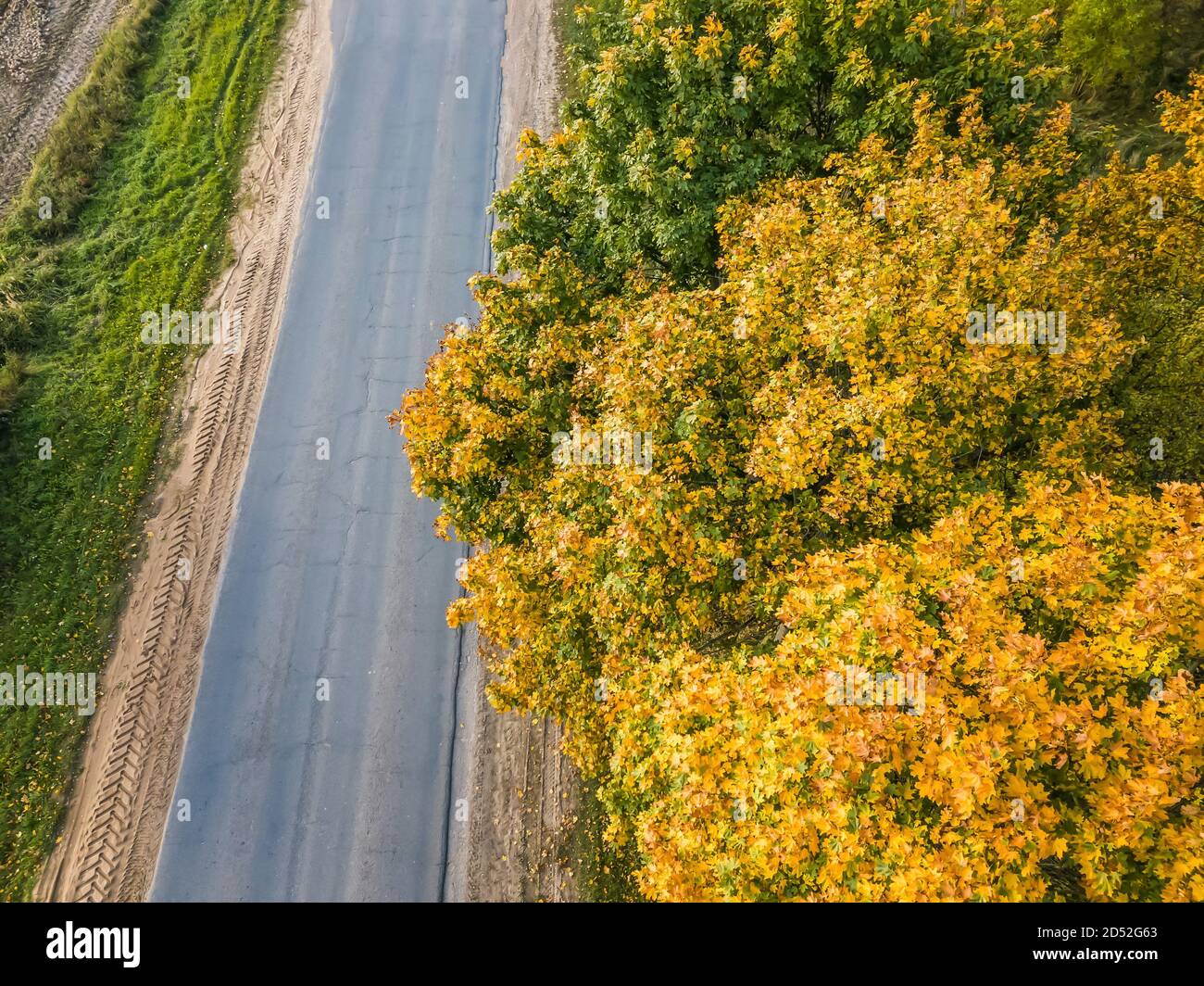 Top view autumn forest road hi-res stock photography and images - Alamy