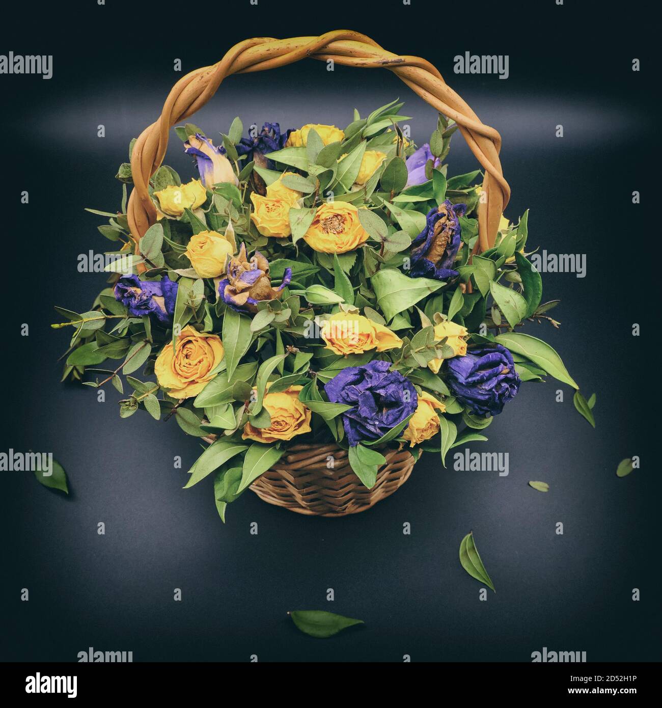 Beautiful bouquet of yellow and blue dried flowers. Roses in a wicker  basket on a black background. Composition of withered flowers. Purple and  yellow Stock Photo - Alamy