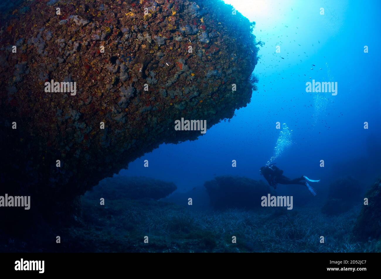 Underwater view of a scuba diver diving among rock formations covered by marine life in Ses Salines Natural Park (Formentera, Mediterranean sea,Spain) Stock Photo