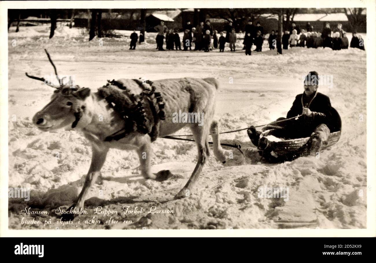 Schweden, Lappen Jorkel Larsson, Rentier zieht einen Schlitten usage worldwide Stock Photo Alamy Schweden, Lappen Jorkel Larsson, Rentier zieht einen Schlitten usage worldwide Stock Photo Alamy
