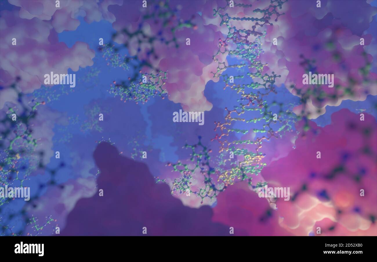 Biomolecules hires stock photography and images Alamy