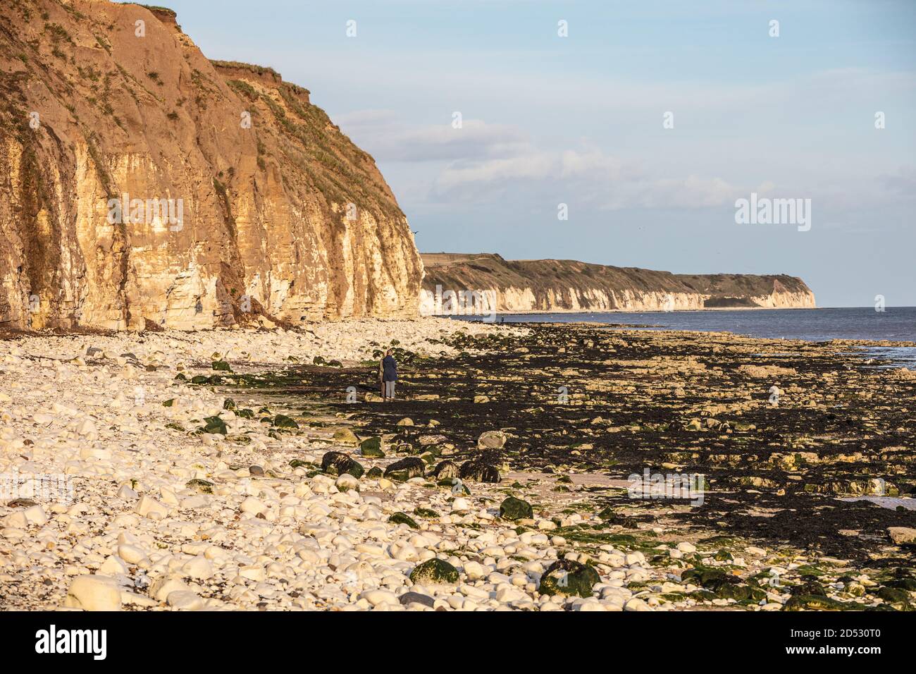 Flamborough Head on the coast north of Humberside Stock Photo Alamy