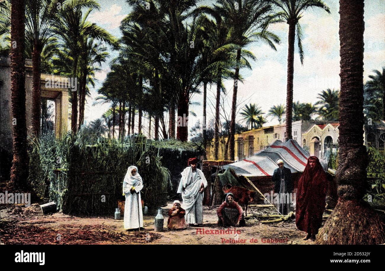 Alexandria Ägypten, Palmier de Gabbari, Palmenhaus, Zelt usage