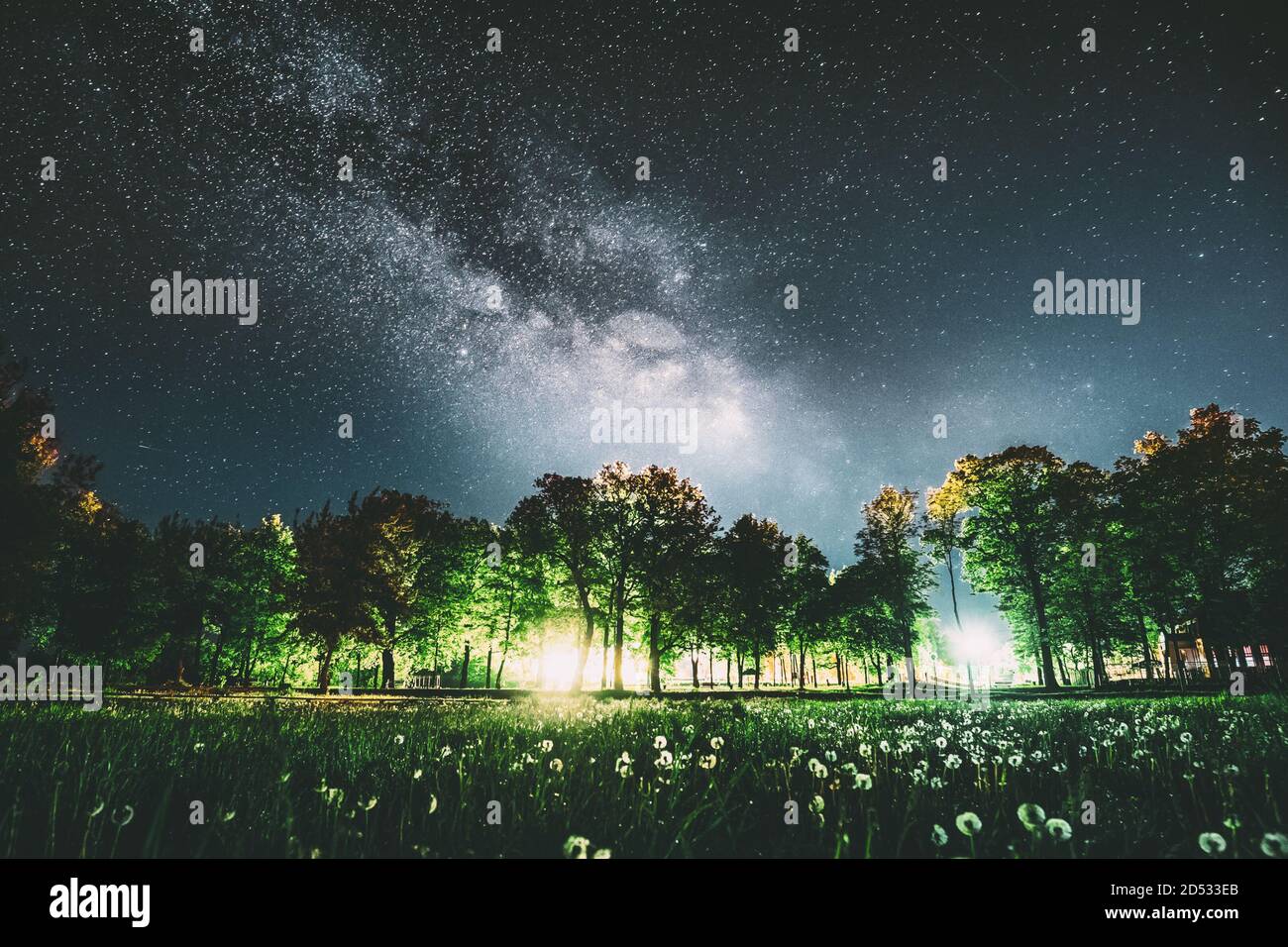 Green Trees Woods In Park Under Night Starry Sky In Violet Color. Landscape With Glowing Milky Way Stars Over Meadow At Summer Season. View From Stock Photo