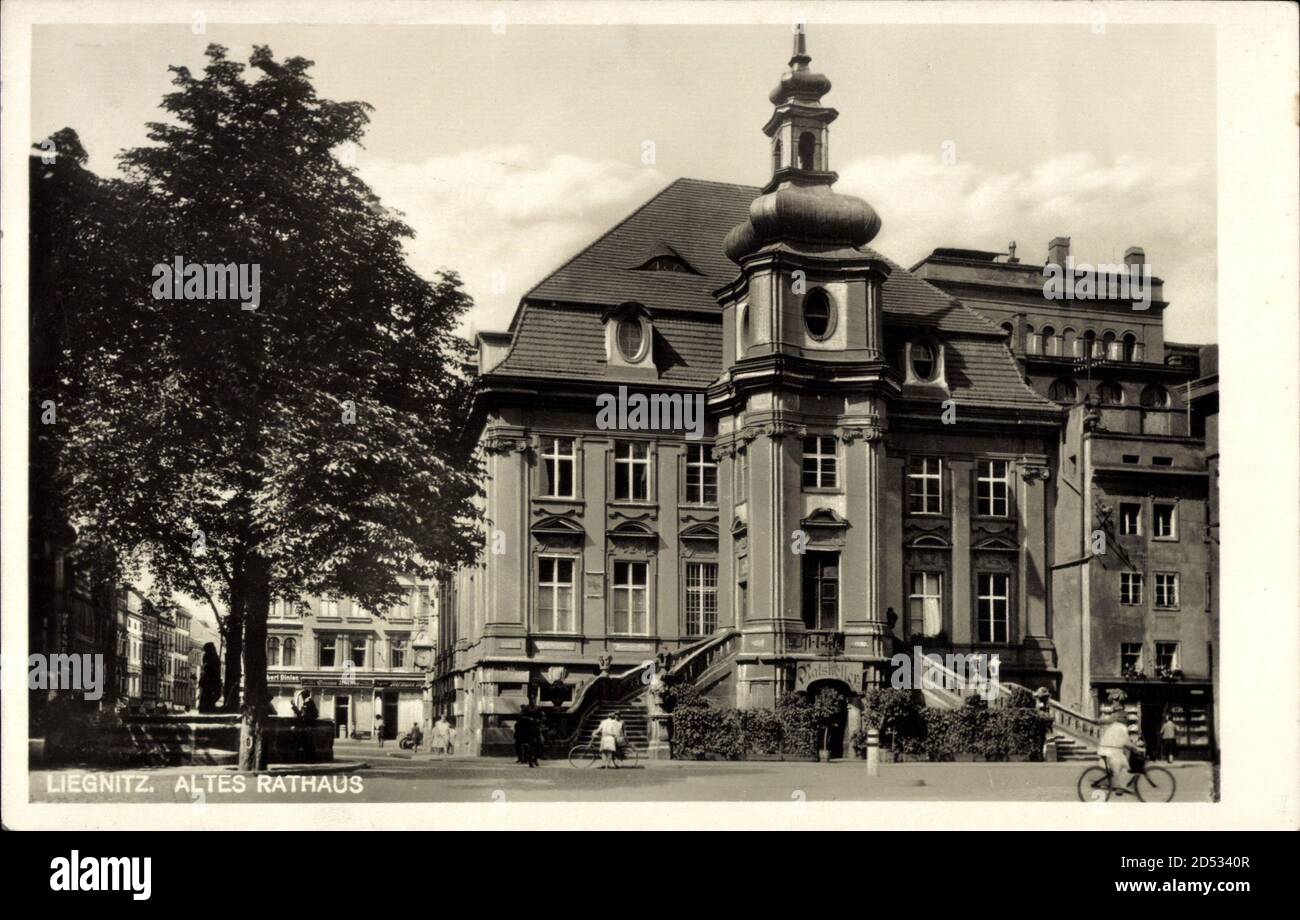 Legnica Liegnitz Schlesien, Altes Rathaus, Straßenfront | usage worldwide Stock Photo