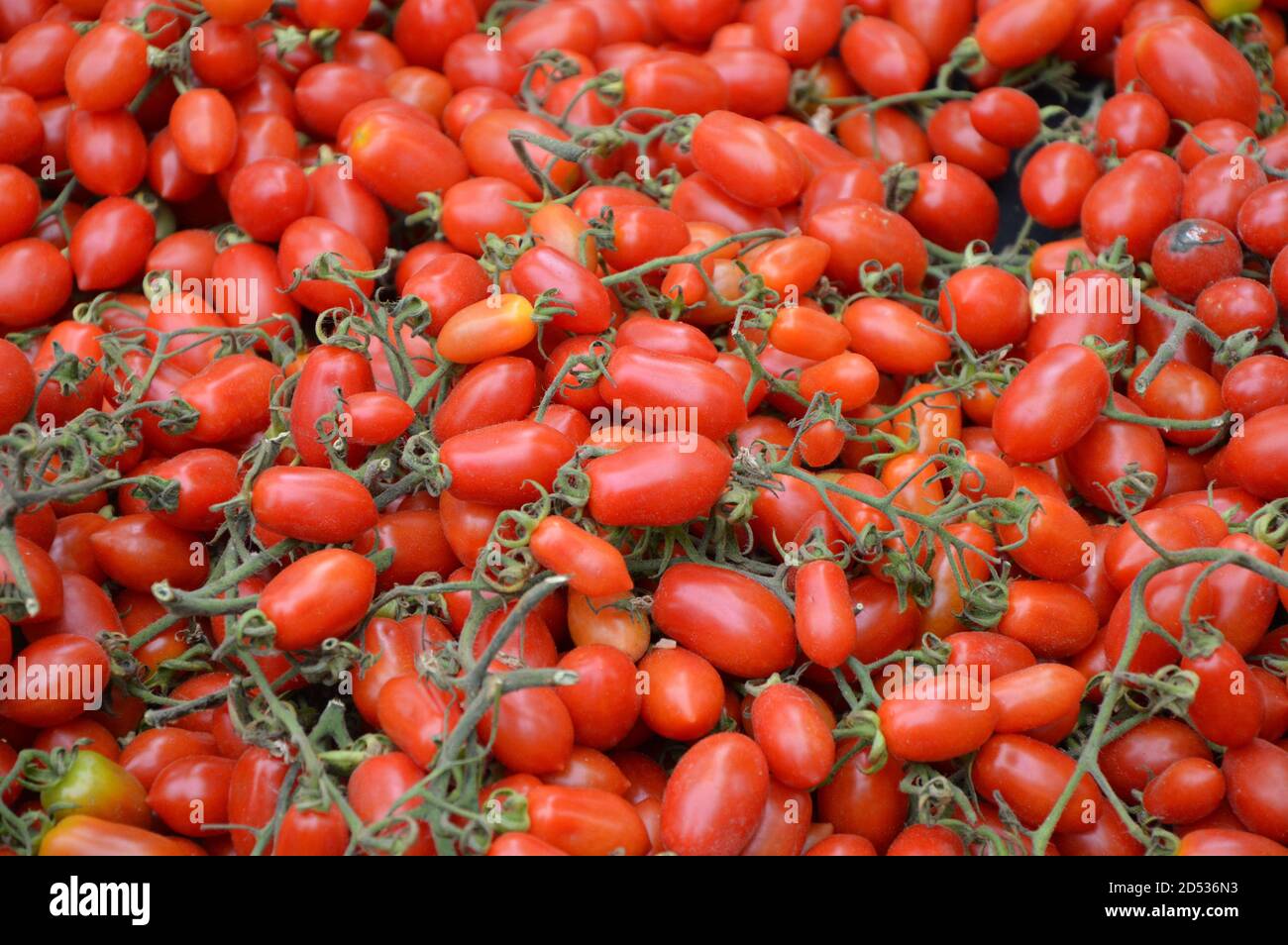 REICHELSHEIM, GERMANY - May 09, 2013: Red tomatoes on display at the weekly market Stock Photo