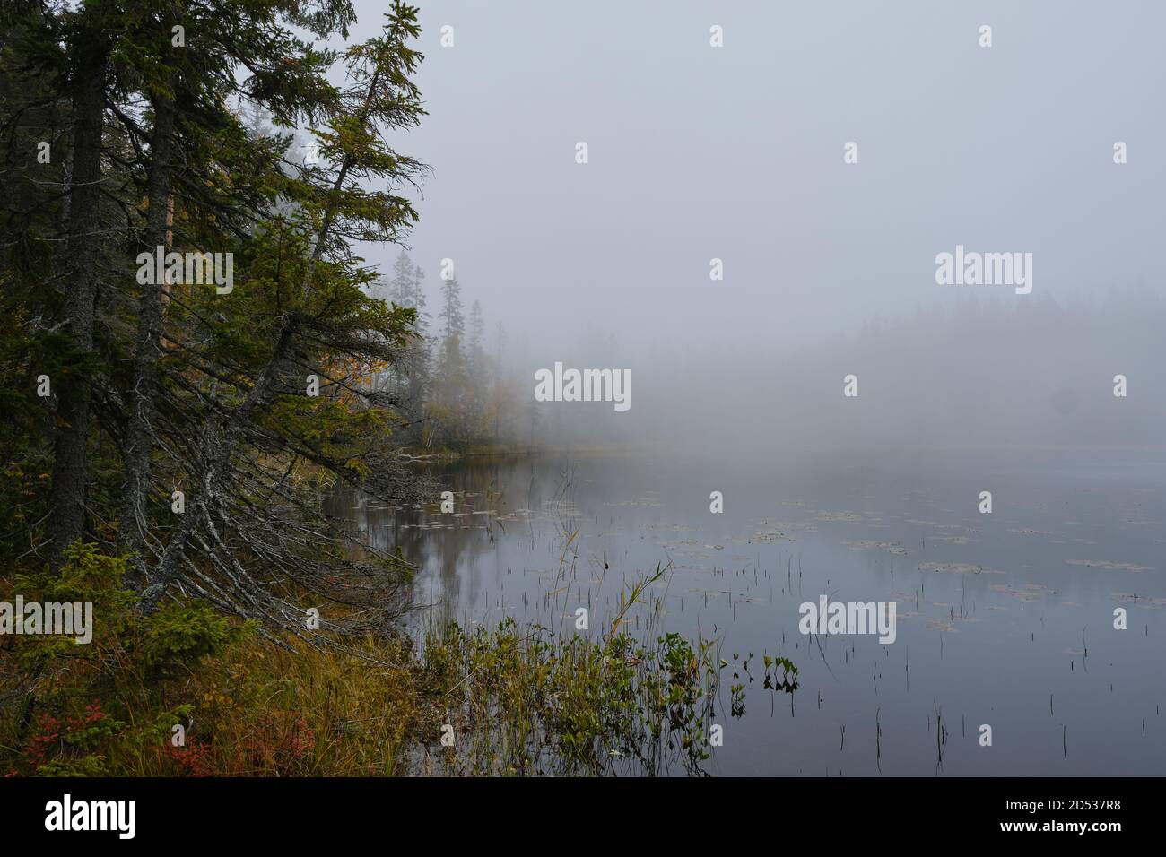 Autumn Photo of a lake and forest on a foggy morning Stock Photo