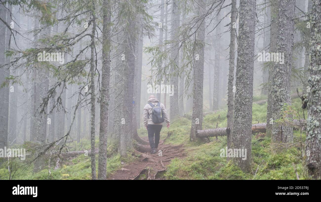Man foggy forest hi-res stock photography and images - Alamy
