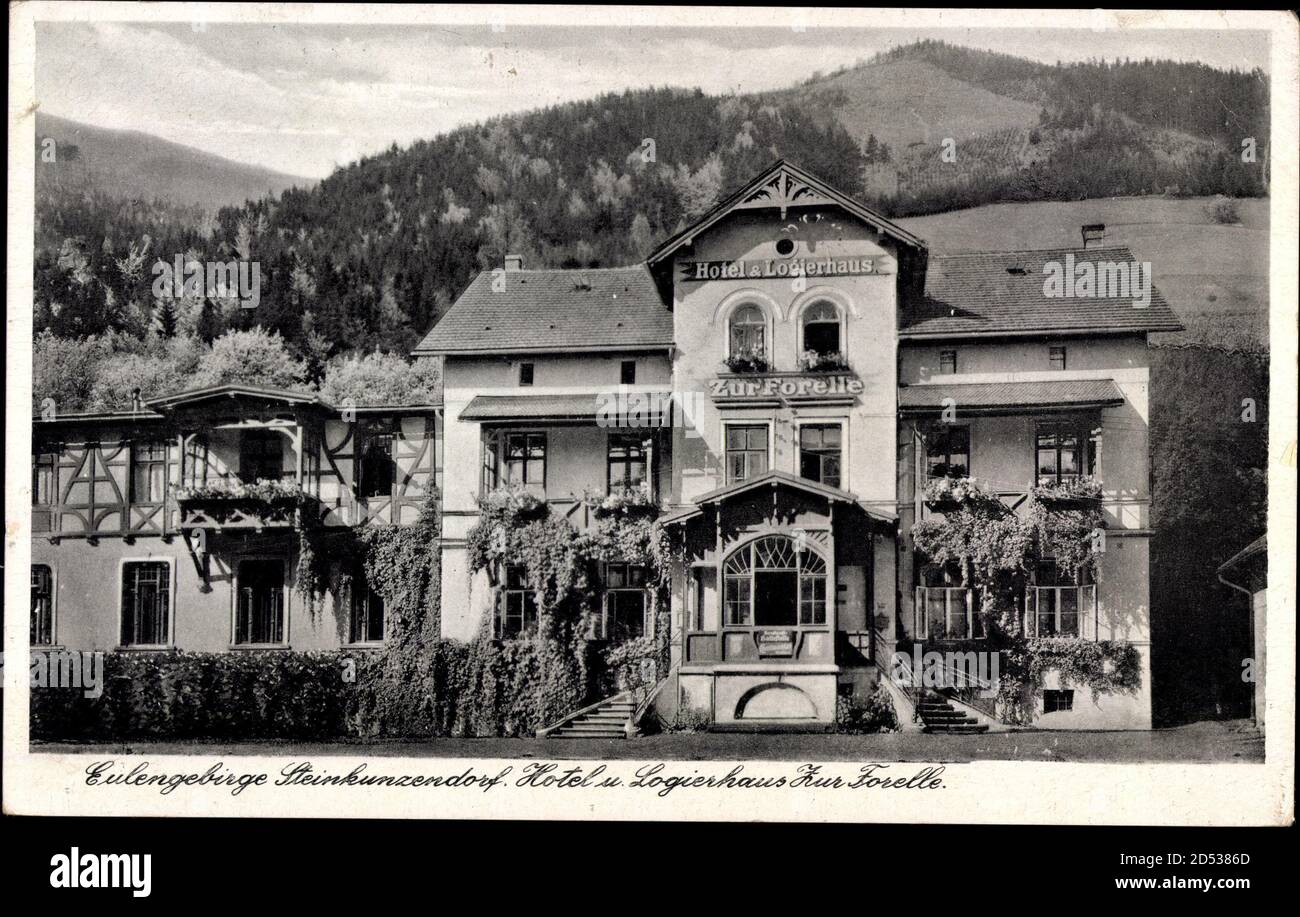 Steinkunzendorf Eulengebirge Schlesien, Hotel zur Forelle, Artur Vogel | usage worldwide Stock Photo