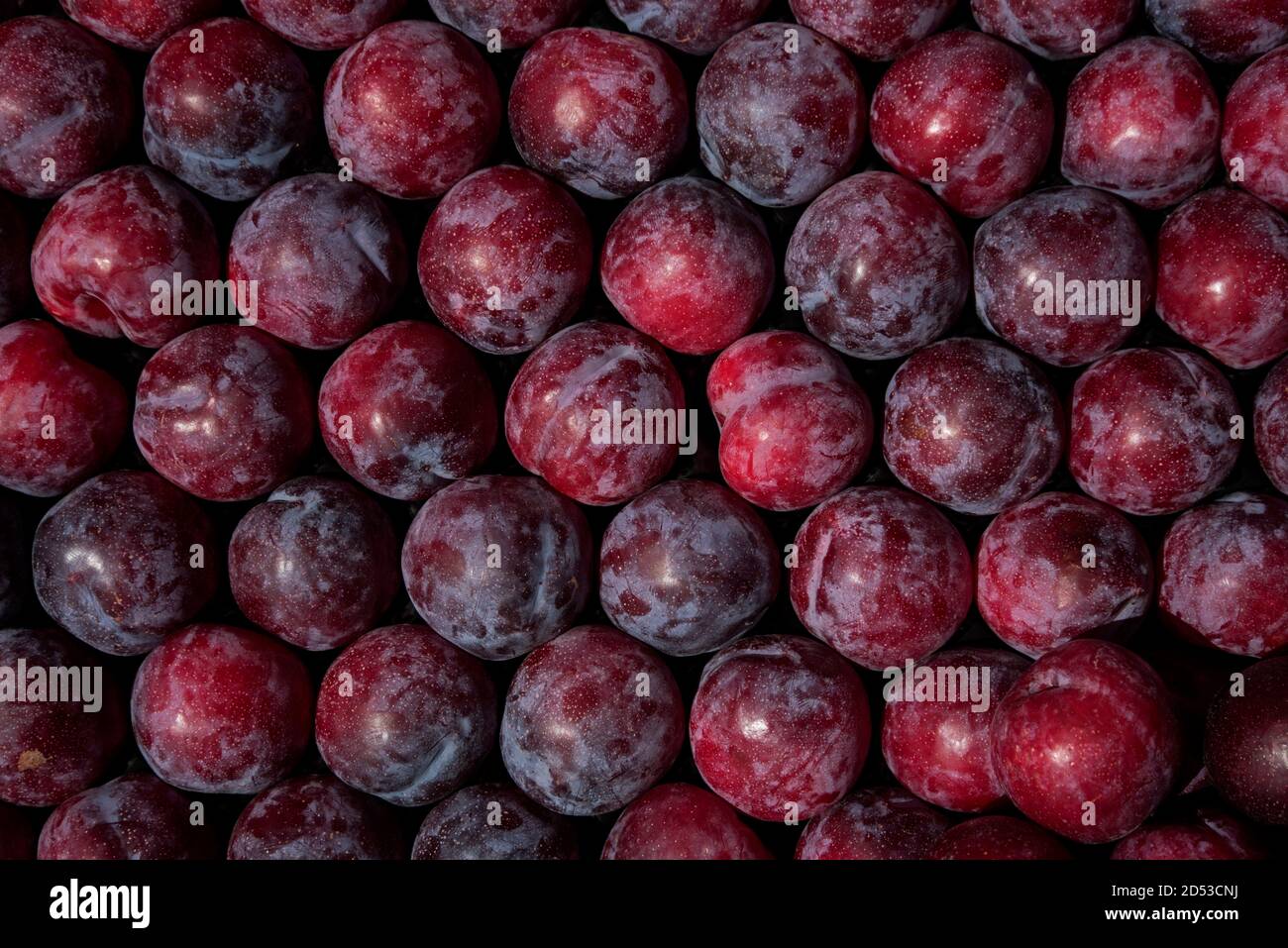 An array of plums on display. Stock Photo