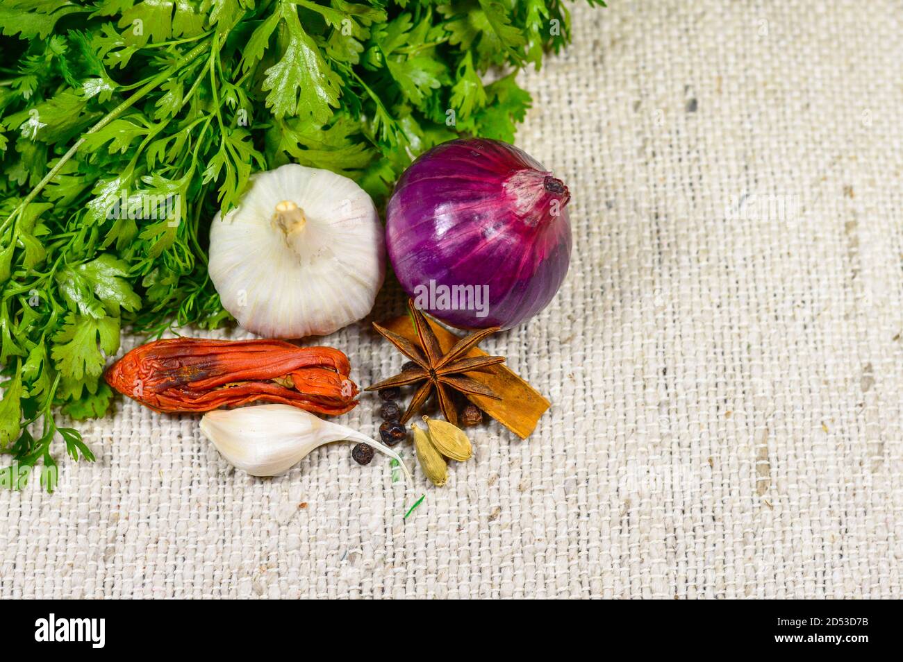 Coriander with onion, garlic  and Indian spices on a white cloth Stock Photo