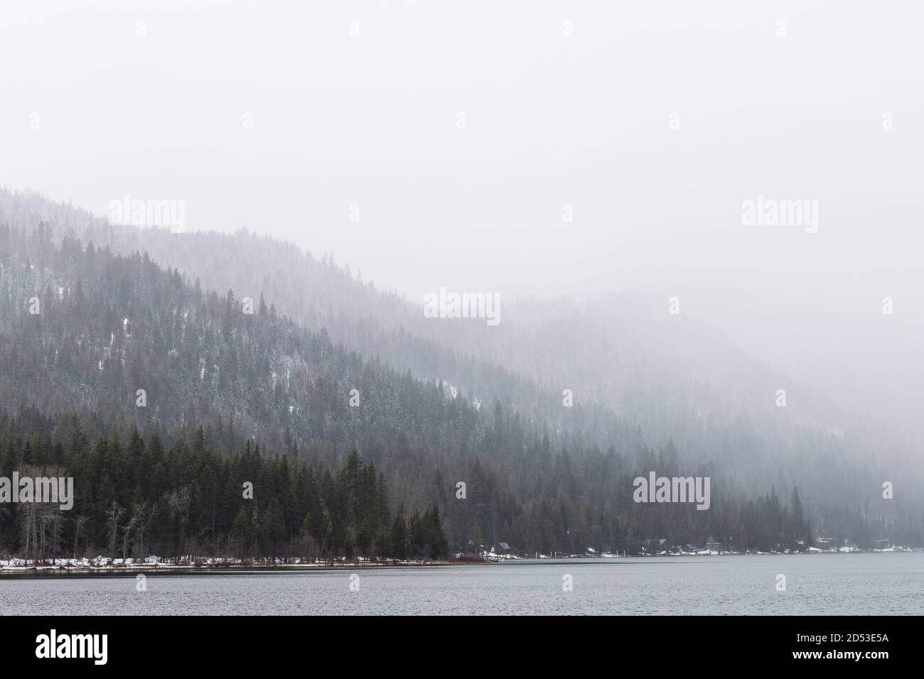 Mountain Lake Forest in Winter with Fog Stock Photo