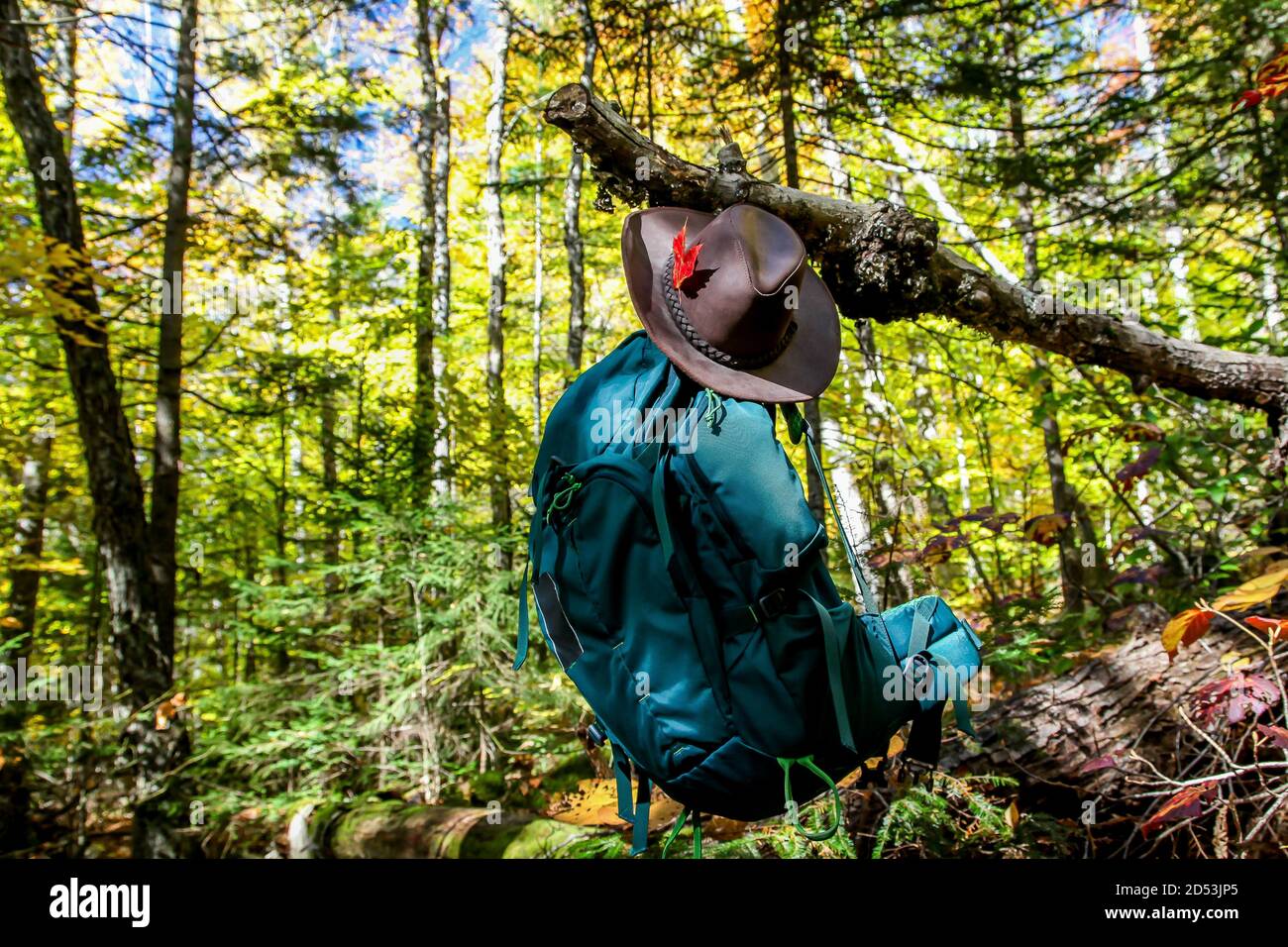 Fall backpack hi-res stock photography and images - Alamy