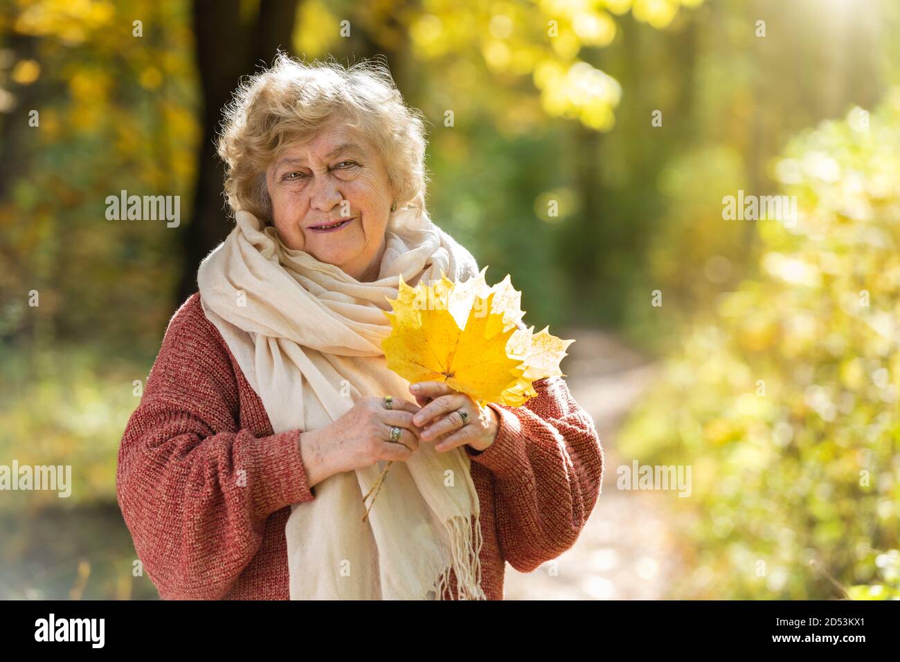 Gray-haired, smiling elderly woman in an autumn park. Happy old age, walking in nature, positive emotions. Stock Photo