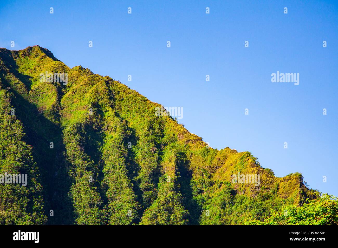 Beautiful view of the famous mountain landscape near the haiku stairs on a blue sky background Stock Photo