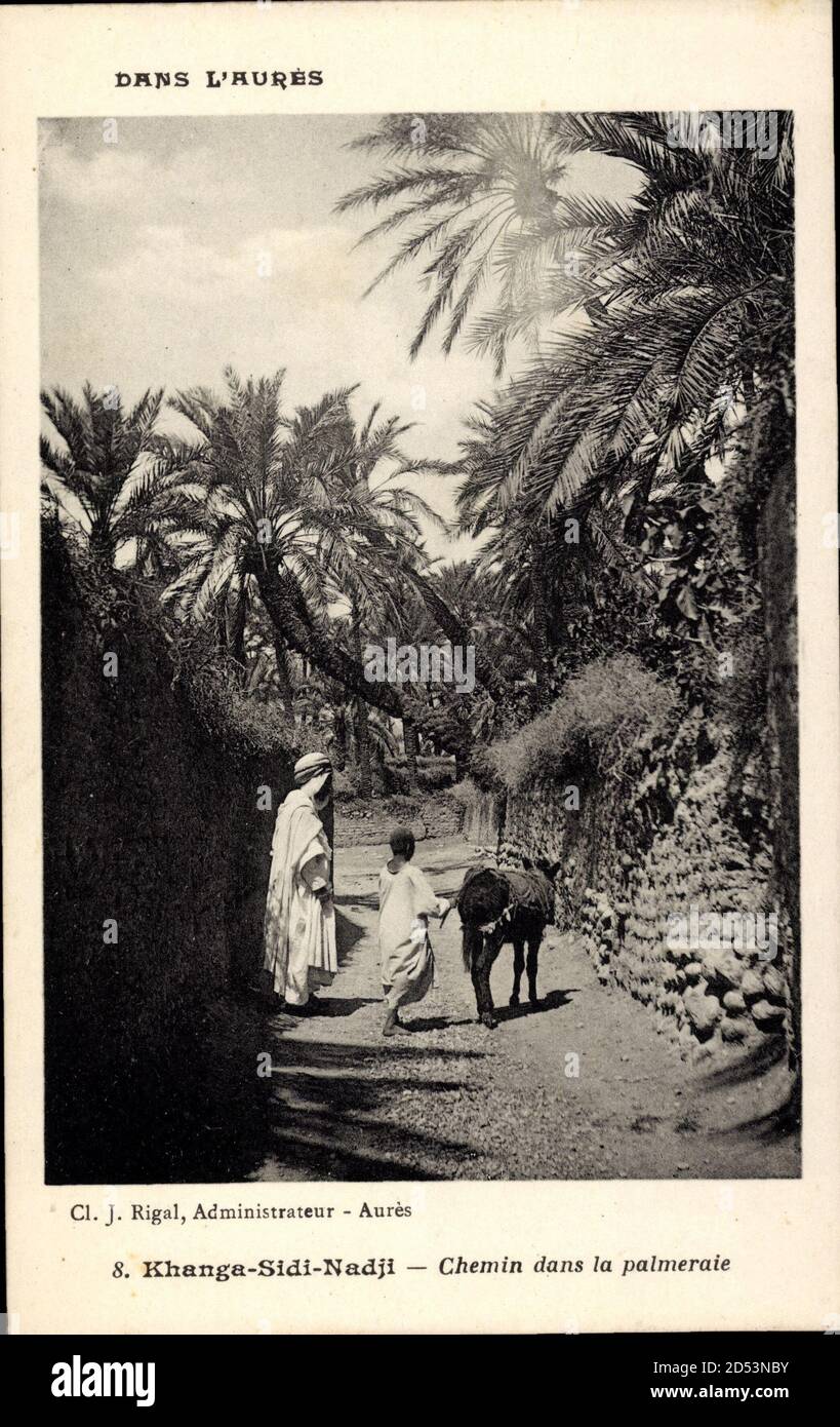 Khanga Sidi Nadji Algerien, Chemin dans la palmeraie | usage worldwide Stock Photo