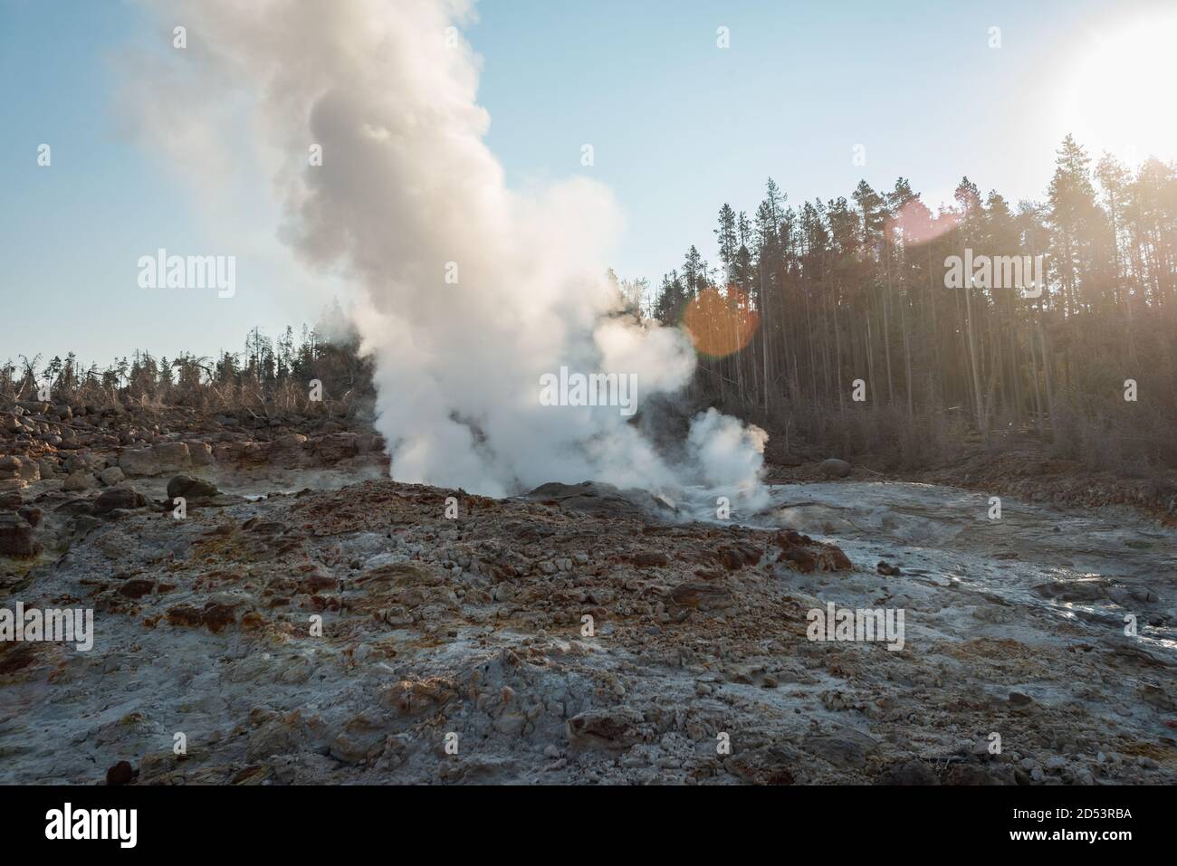 Hot Springs and gushing Geysers at Yellowstone National Park wilderness ...