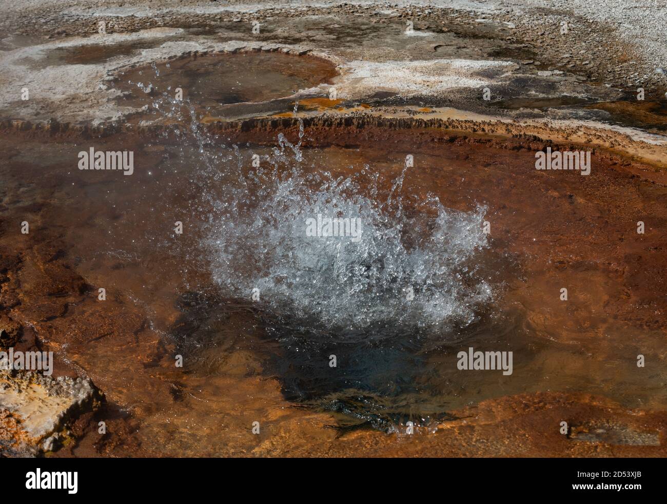 Hot Springs and gushing Geysers at Yellowstone National Park wilderness ...