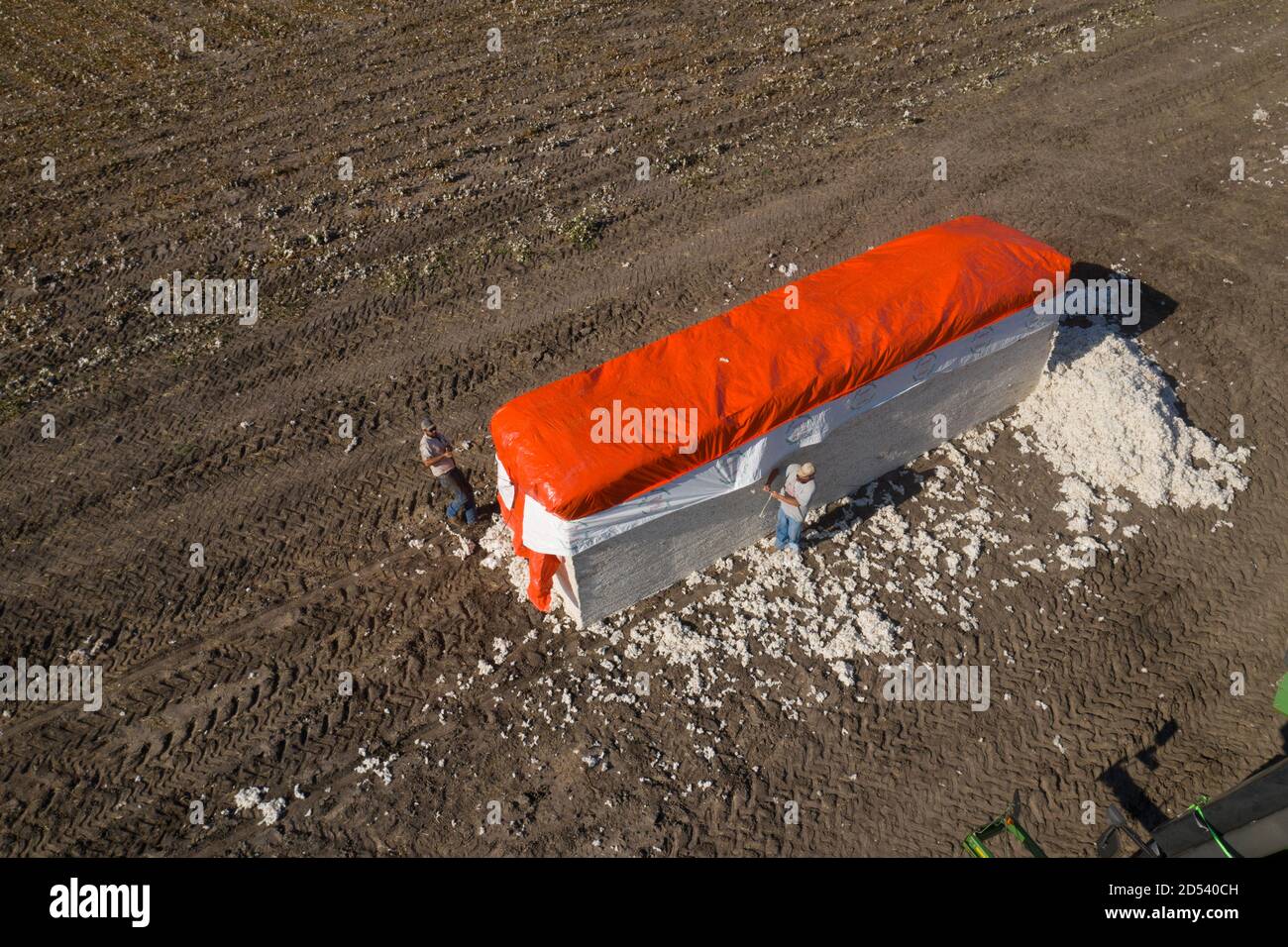 Aerial view of a cotton module ready for shipping at the Schirmer Farm during harvest August 23, 2020 in Batesville, Texas. Stompers use a hydraulic ram and tramper beam to compress the cotton into modules, 32 feet long, 7 1/2 feet wide, and 9 1/2  feet tall. Stock Photo