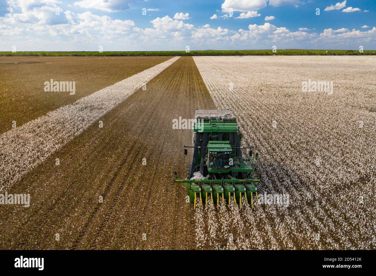 Operations Manager Brandon Schirmer operates a speciality cotton picking harvester at his family farm during the cotton harvest August 25, 2020 in Batesville, Texas. Stock Photo