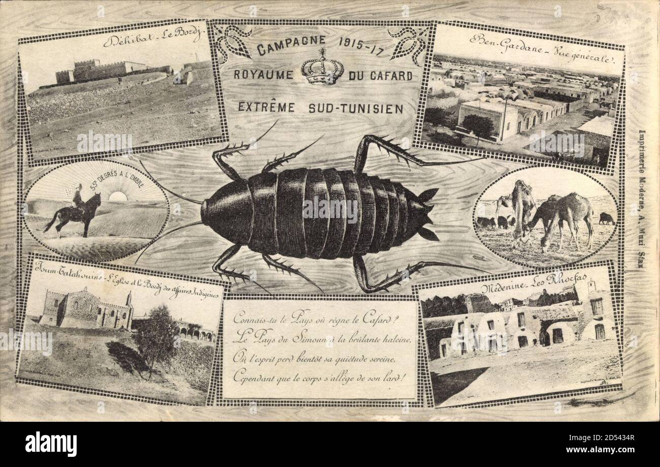 Tunesien Campagne 1915 A 1917 Royaume Du Cafard Kafer Kamele Usage Worldwide Stock Photo Alamy Tunesien Campagne 1915 A 1917 Royaume Du Cafard Kafer Kamele Usage Worldwide Stock Photo Alamy