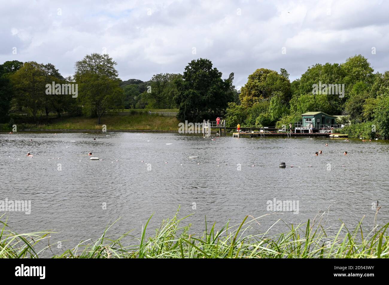 Men swimming in the 'Mens Pond,' Hampstead Heath, highgate, London UK. Stock Photo